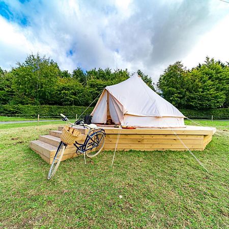Ferry House Holidays New Ross Exteriér fotografie