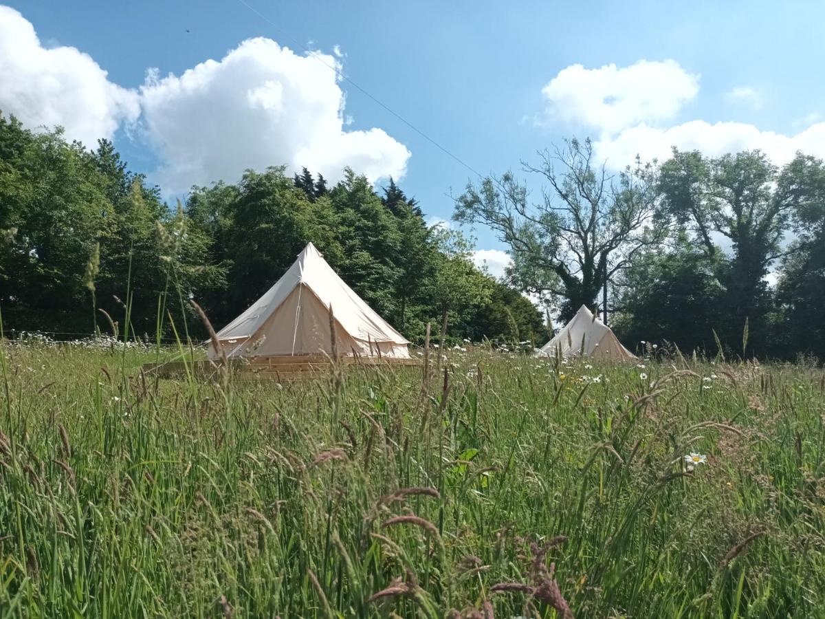 Ferry House Holidays New Ross Pokoj fotografie