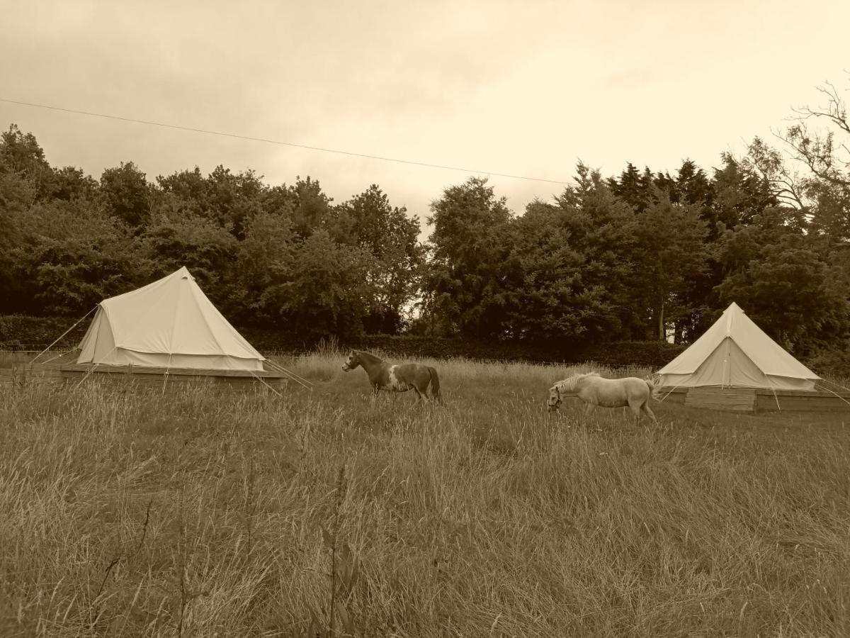 Ferry House Holidays New Ross Pokoj fotografie